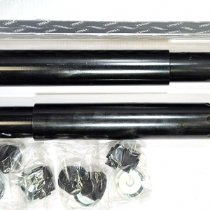 Stoßdämpfer hinten  2 Stück ölgefüllte Wolga Gaz M21, Gaz 24*