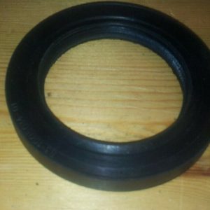 Kurbelwelle Simmerring Dichtung 55x80x10 UAZ Wolga Gaz